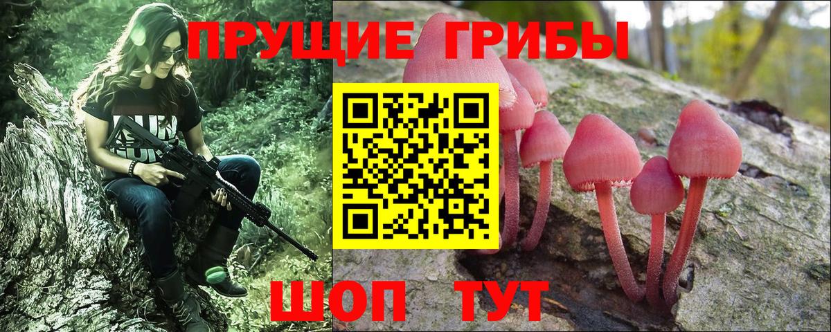 Галлюциногенные грибы прущие грибы Жуковский