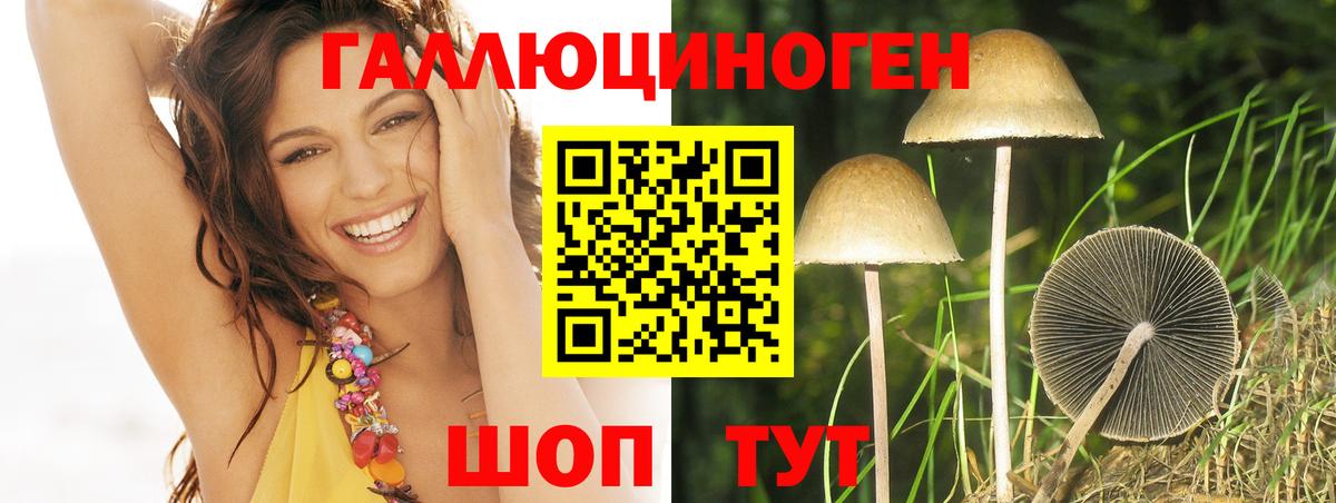 Жуковский  Псилоцибиновые грибы прущие грибы  Вход с VPN 